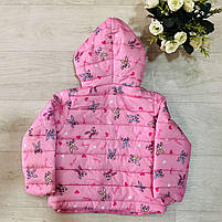 Куртки для дівчаток оптом, S&D, 1-5 років, арт. CH-6828, фото 7