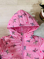 Куртки для дівчаток оптом, S&D, 1-5 років, арт. CH-6828, фото 4