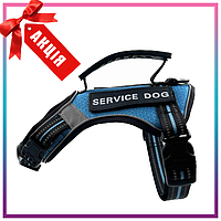 Шлейка для собак Service Dog S, M, L, XL, Голубая, Шлей для собак, Нагрудник для средних пород