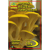 Міцелій грибів Глива лимонна 10 г