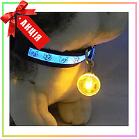 Светящийся LED брелок, на карабине, для собак, на ошейник, с батарейкой