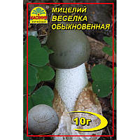 Міцелій грибів Веселка звичайна 10 г