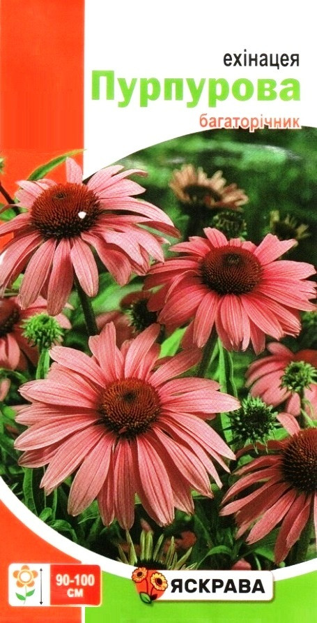 Насіння ехінацеї Пурпурова, ТМ Яскрава, 0,5г