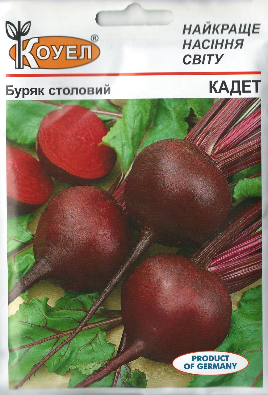 Насіння буряка Кадет 15г ТМ Коуел