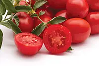 LibraSeeds томат детерминантный для переработки и свежего рынка Чезена F1 (1000 семян)
