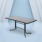 Стіл для дачі "Брістоль"160 Сірий Металевий (160*80 см)  - Mix-Line, фото 6