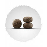 JOSERA Lamb and Rice 12,5кг, фото 2