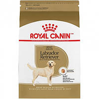 Сухий корм Royal Canin Labrador Retriever Adult для дорослих собак старше 15 місяців 12 кг (3182550715645)