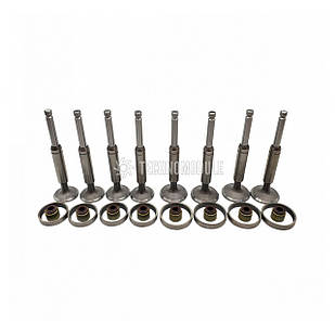 Клапанний комплект КМ490ВТ