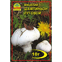 Міцелій грибів Печериця (шампіньйон) луговий 10г