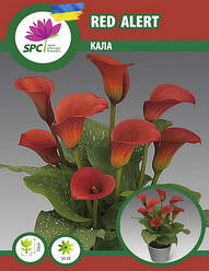 Calla(Кала) Red Alert