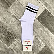 Шкарпетки чоловічі демісезонні бавовна середні ВженеBOSSі Tennis, розмір 31 (45-46), білі, 11208, фото 2