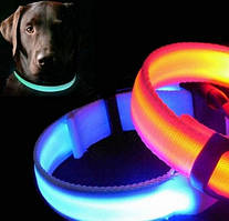 Нашийник LED світний вузький для невеликих собак і кішок 0.5 м Синій, Червоний, Зелений VetrainMarket