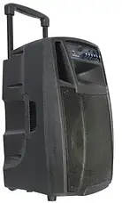 Акустична колонка Temeisheng SL15-01S два мікрофони, 15", фото 3