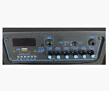 Акустична колонка Temeisheng SL15-01S два мікрофони, 15", фото 4