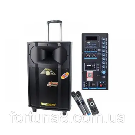 Акустична акумуляторна колонка Temeisheng QX-1209 з мікрофонами, 400W корпус дерево, фото 3
