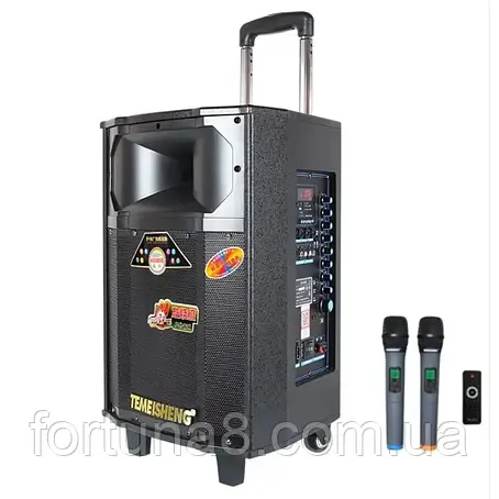 Акустична акумуляторна колонка Temeisheng QX-1209 з мікрофонами, 400W корпус дерево, фото 1