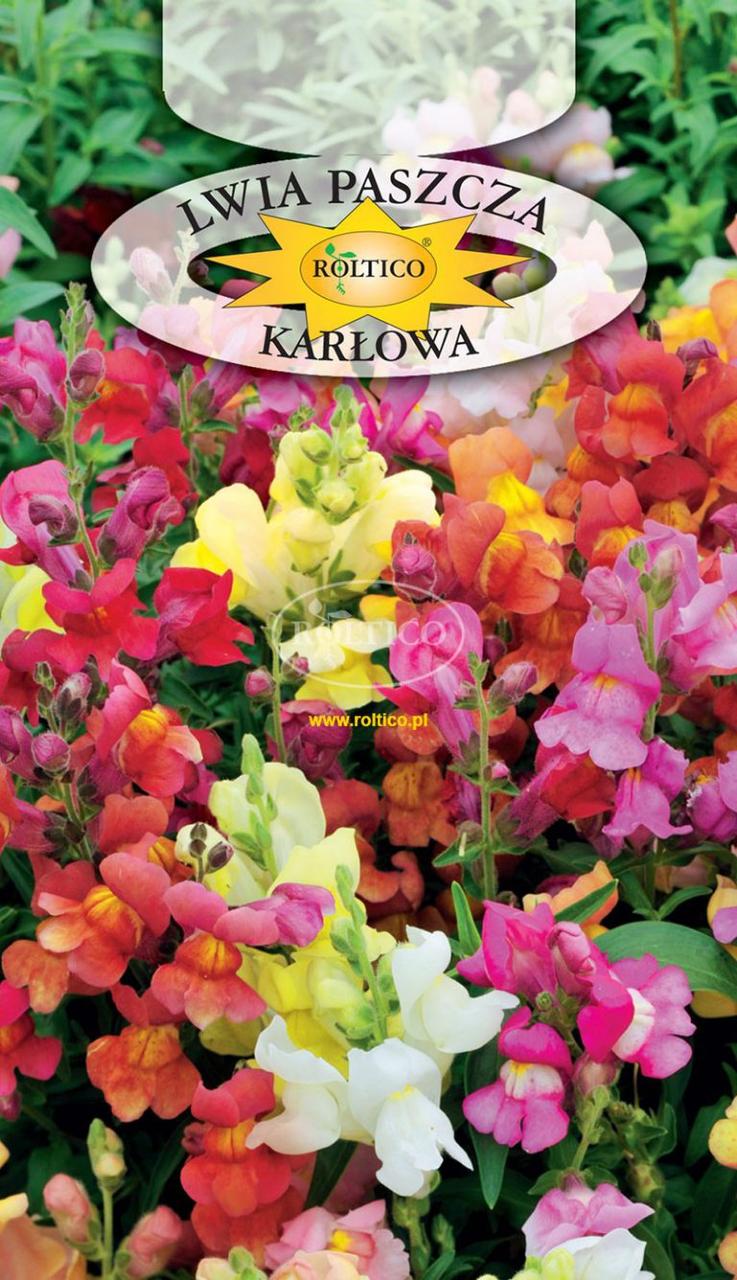 Левова паща карликова суміш \ Lwia Paszcza karlowa 0.5 г Roltico Польща, фото 1