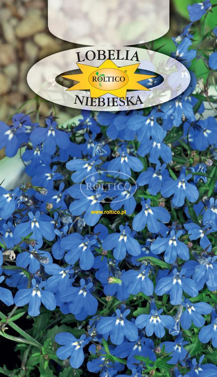 Лобелія низька голуба / Lobelia Niebieska 0.2 г Roltico Польща