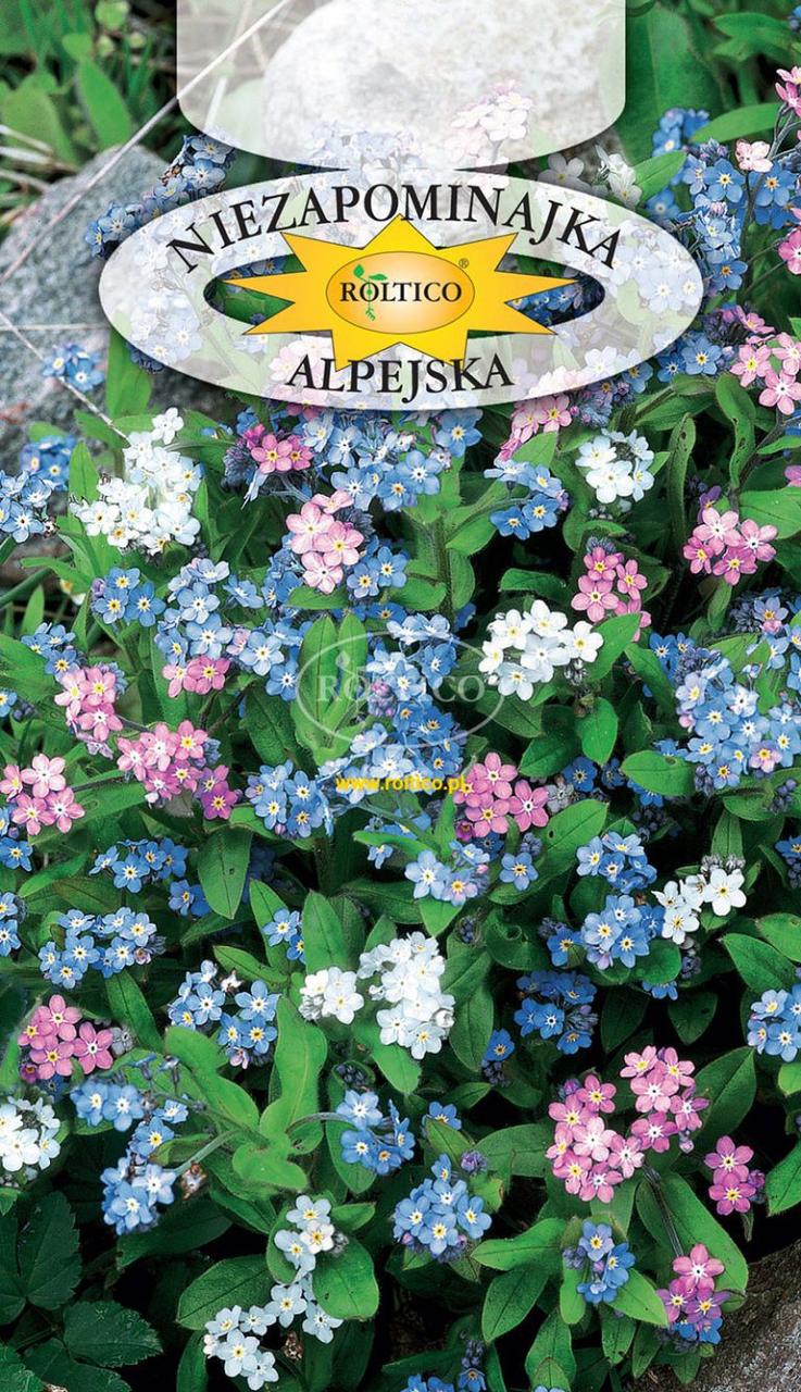 Незабудка Альпійська суміш \ Niezapominajka alpejska 0,5г Roltico Польща