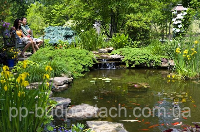 Ландшафтний дизайн ставка