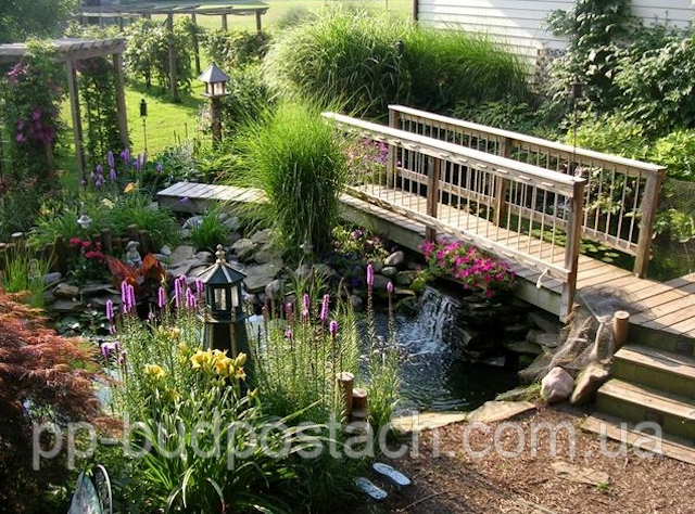 Ландшафтний дизайн ставка