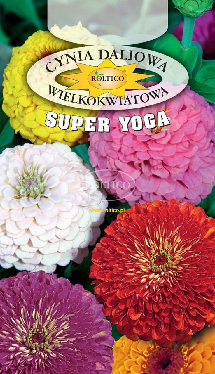 Цинія помпоновидна великоквіткова Супер Йога / Cynia daliowa wielkokwiatowa Super Yoga 1 г Roltico Польща