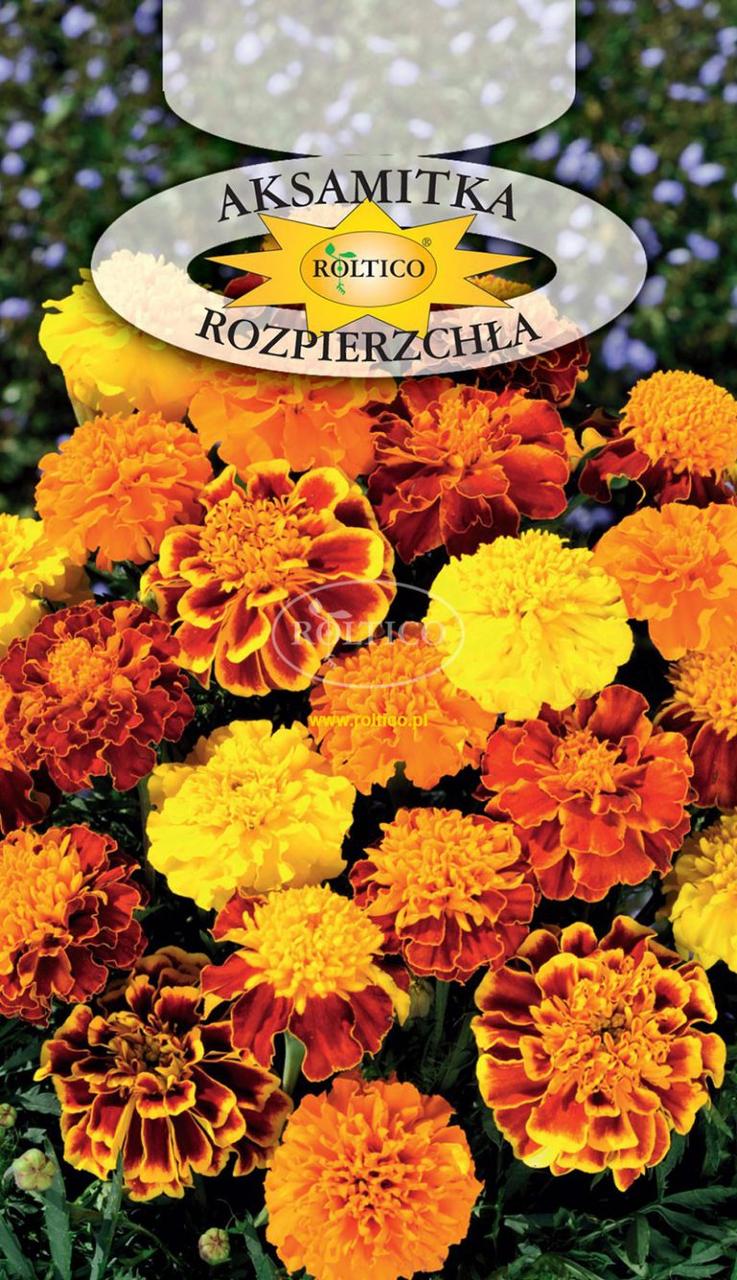 Чорнобривці відхилені суміш \ Aksamitka rozpierzchla 1 г Roltico Польща