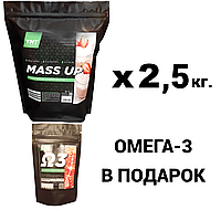 Гейнер ягодный, 2,5 кг. Mass Up + Омега-3 в подарок! TNT Nutrition