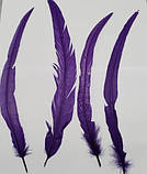 Пір'я півня Декоративне перо Колір Фіолетовий 26-35см, фото 7
