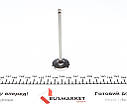 Клапан (впуск) Citroen C1/C3/Peugeot 108/308 1.2/1.2VTi 12- (29,15х4.98х92.55) = 56370000 147 037 0001 00 UA61, фото 5
