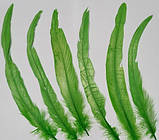 Перо півня натуральне Колір Салатовий 20-30 см, фото 9