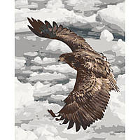 Картина по номерам Величие полета орла. Птицы 40*50 см Art Craft 11507-AC
