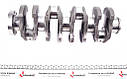Колінчастий вал Ford Transit 2.2/2.4 TDCi 06- FORD BK2Q6303AA UA61, фото 6