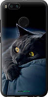 Чехол на Xiaomi Mi A1 Дымчатый кот "825u-1132-70447"