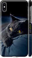 Чехол на iPhone XS Max Дымчатый кот "825c-1557-70447"