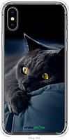 Чехол на iPhone X Дымчатый кот "825sp-1050-70447"