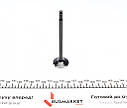 Клапан (впуск) MB Sprinter (OM611) 2.2CDI 96-06 (30.20x6.975x103.95) = 5610060000 NPR 147 010 0004 00 UA61, фото 5