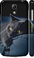 Чехол на Samsung Galaxy S4 mini Duos GT i9192 Дымчатый кот "825m-63-70447"