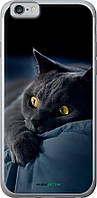 Чехол на iPhone 6s Дымчатый кот "825t-90-70447"