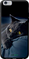 Чехол на iPhone 6s Дымчатый кот "825b-90-70447"
