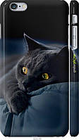 Чехол на iPhone 6s Plus Дымчатый кот "825c-91-70447"