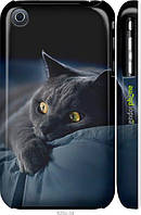 Чехол на iPhone 3Gs Дымчатый кот "825m-34-70447"