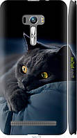 Чехол на Asus ZenFone Selfie ZD551KL Дымчатый кот "825m-116-70447"
