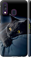 Чехол на Samsung Galaxy A40 2019 A405F Дымчатый кот "825m-1672-70447"