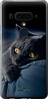 Чехол на HTC U12 Plus Дымчатый кот "825u-1712-70447"