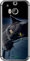 Чехол на HTC One M8 dual sim Дымчатый кот "825u-55-70447"