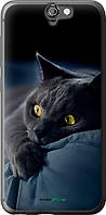 Чехол на HTC One A9 Дымчатый кот "825u-156-70447"