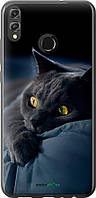 Чехол на Huawei Honor 8X Дымчатый кот "825u-1596-70447"