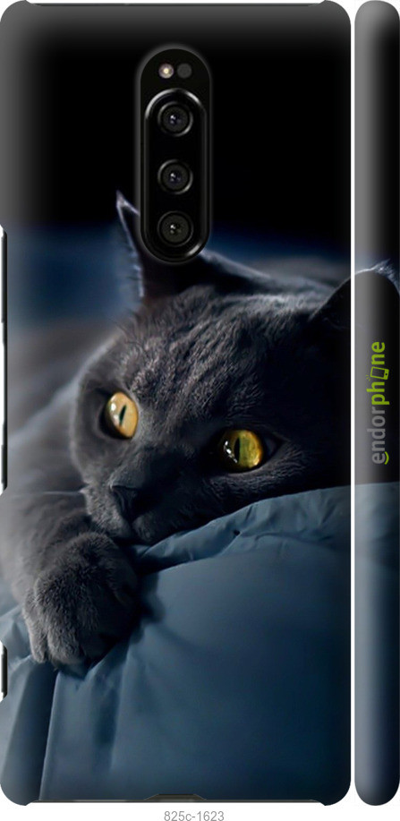 Чохол на Sony Xperia 1 J9110 Димчастий кіт "825m-1760-70447"